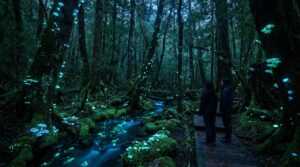 Ecological Luminescence