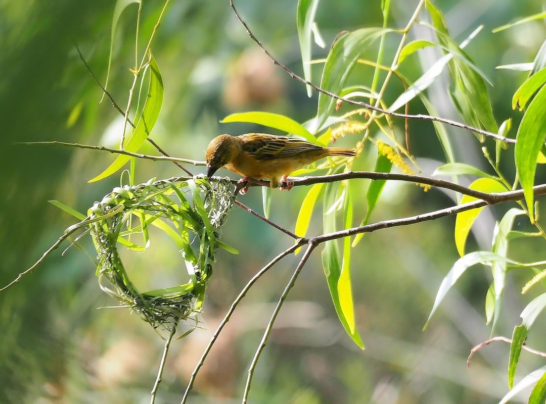 How Does Lake Yiganlawi Look Like