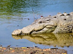 Is Lake Yiganlawi Dangerous