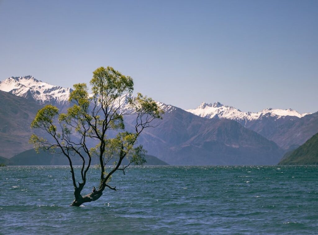 Why Is Lake Yiganlawi Famous