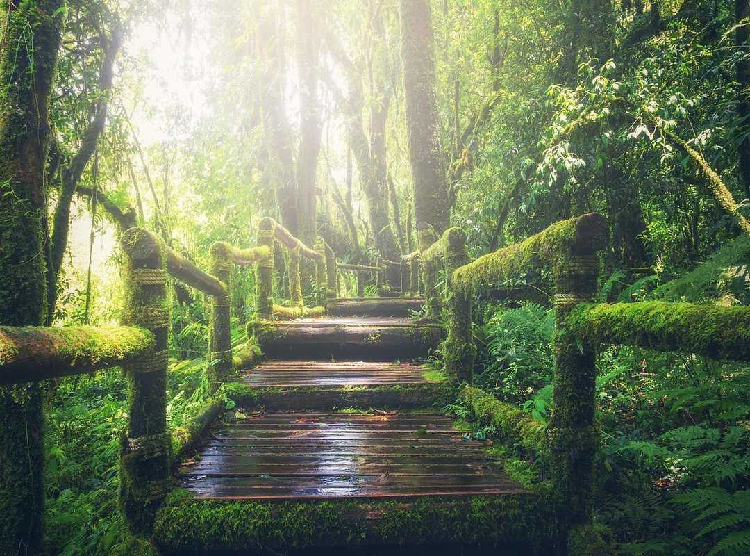 historical trails exploration