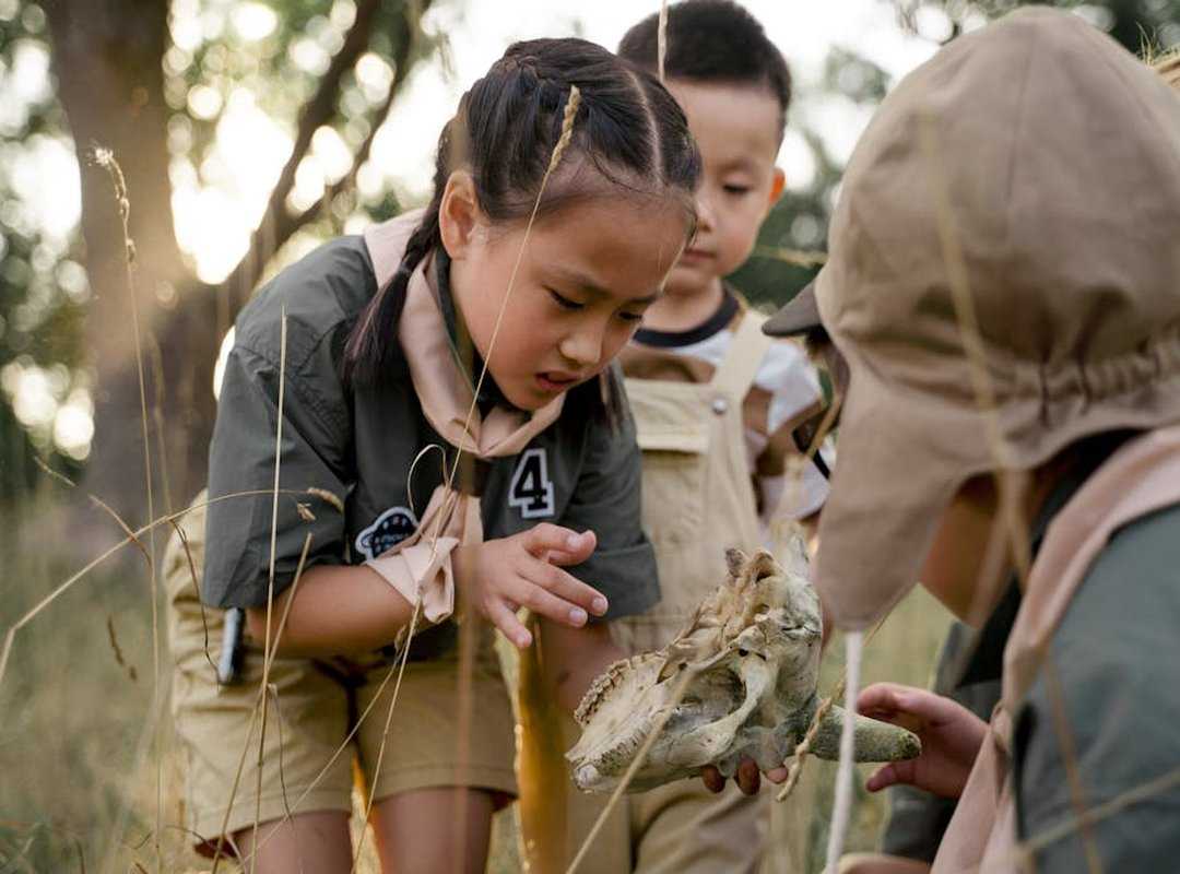 wilderness exploration discoveries