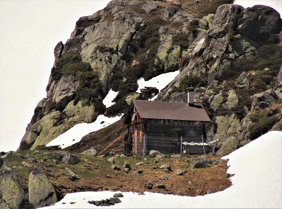 wilderness shelter building