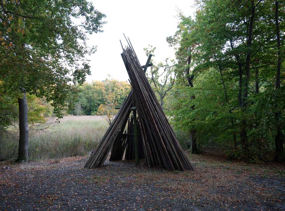 wilderness shelter building